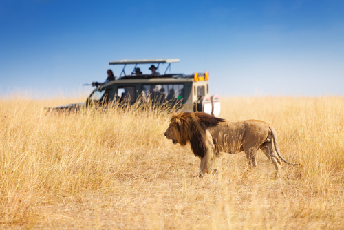 KENYA - Safari + Sejur: 2 nopti cu pens completa + 5 nopti cu all inclusive + avion Bucuresti + taxe + transfer + asigurare