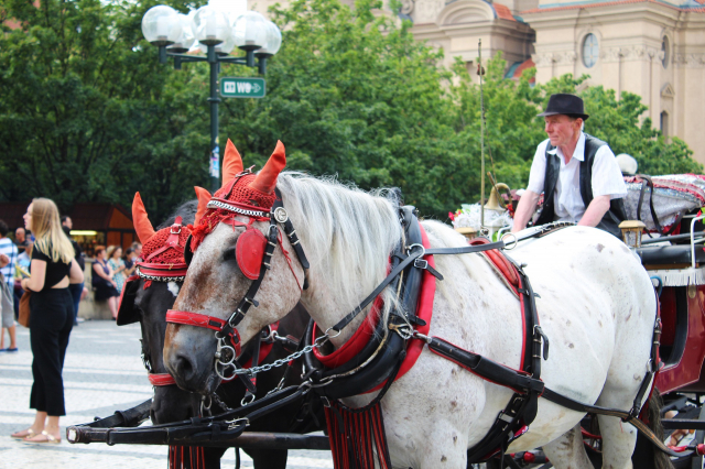 PASTE 2025 PRAGA ZBOR, 3 NOPTI CAZARE CU MIC-DEJUN, TAROM DIN BUCURESTI