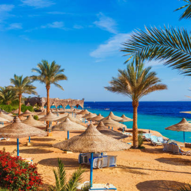 Sejur de 8 Martie la plaja in Sharm-El-Sheikh la doar 286 euro,avion din Cluj!!! VIE Palma Di Sharm Hotel 