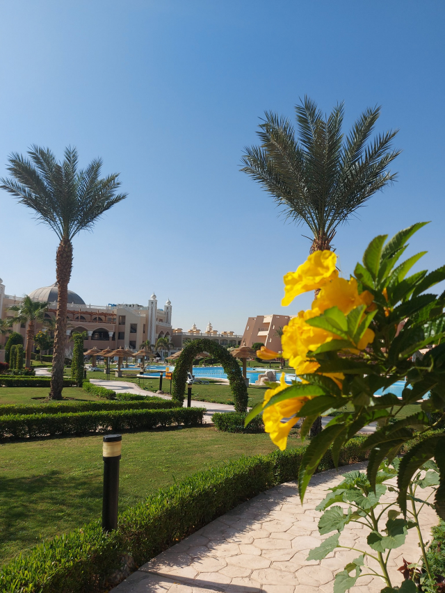 28.02 Zbor Bucuresti, Egipt Hurghada, JASMINE PALACE 399 euro/pers, 7 nopti, all inclusive, taxa aeroport +transfer