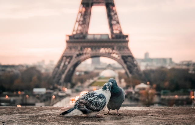 CITY BREAK PARIS RUSALII, 3 NOPTI CAZARE CU MIC-DEJUN, TRANSFER, ZBOR TAROM DIN BUCURESTI 