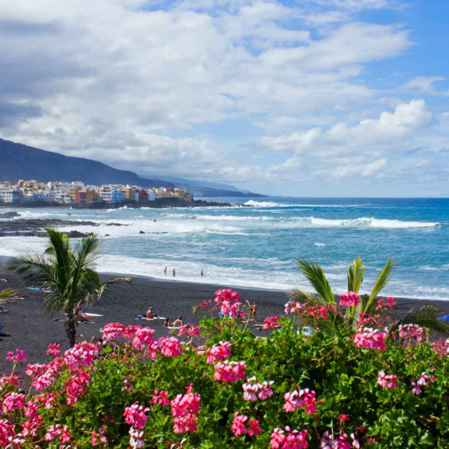 Ultimele 4 locuri!!!Sejur de Paste la plaja in Tenerife la doar 836 euro,avion din Bucuresti!  Alua Tenerife 4*