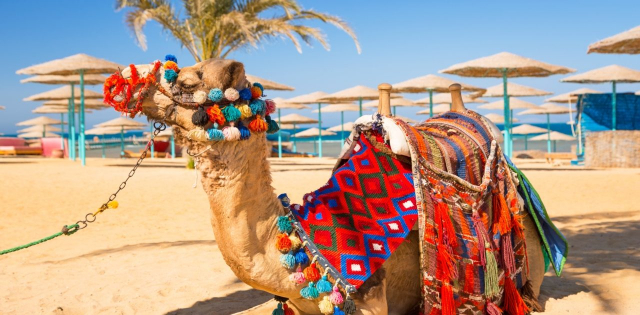 Hai la plaja in Sharm El Sheikh cu avion din Oradea la doar 449 euro/pers!