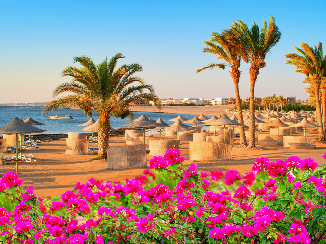 Ultra last min!!!Sejur de 7 nopti la plaja in Hurghada la doar 509 euro,avion din Bucuresti!!!  Albatros Makadi 5*