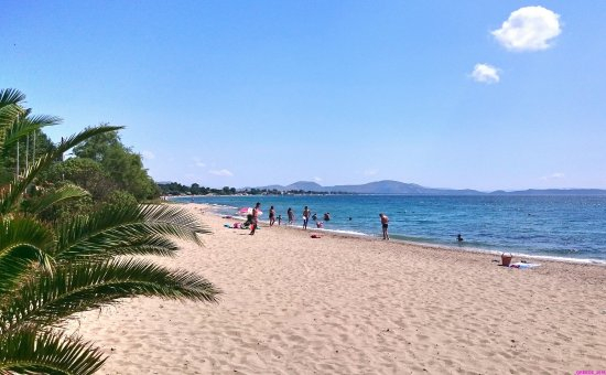 NEA MAKRI - 7 nopti cazare 5* cu mic dejun + bilet avion Bucuresti + taxe aeroport + transfer = 779 euro/pers