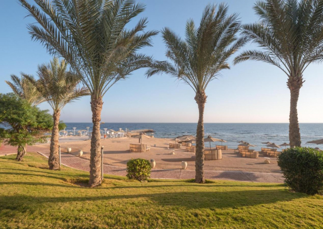 ULTIMELE LOCURI IN EGYPT 5***** ALL INCLUSIVE SERENITY ALPHA BEACH ZBOR CHARTER DIN OARDEA/CLUJ NAPOCA CU TAXE INCLUSE