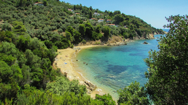 LAST MINUTE  GRECIA SKIATHOS, 7 NOPTI CAZARE CU ALL INCLUSIVE MARPUNTA RESORT 4*, ZBOR DIN BUCURESTI