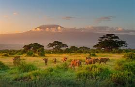 KENYA --- SAFARI SI SEJUR pecare din Cluj (OR)