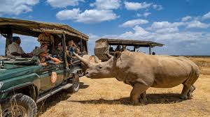 KENYA --- SAFARI SI SEJUR pecare din Cluj (OR)