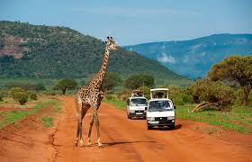 KENYA --- SAFARI SI SEJUR pecare din Cluj (OR)