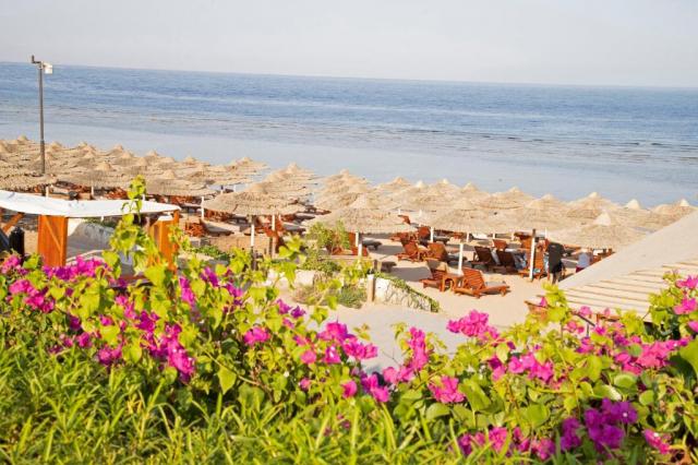 Sejur in Sharm El Sheikh: 650 euro cazare 7 nopti cu All inclusive+ transport avion+ toate taxele