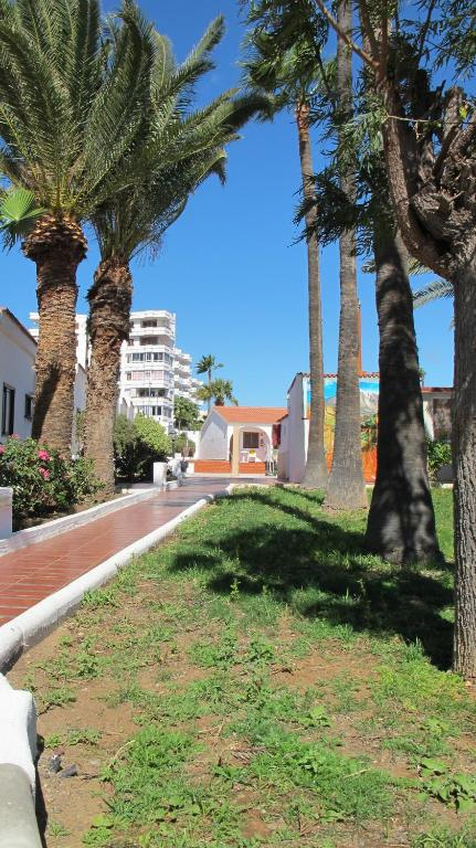 28.06 GRAN CANARIA , Hotel REBECCA PARK 3*, avion , 7 nopti, pret/ persoana =660Eur 