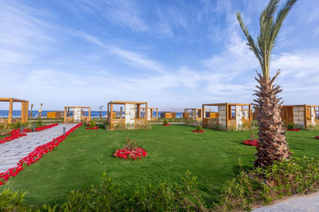 Sejur in Sharm El Sheikh: 1000 euro cazare 7 nopti cu Ultra All inclusive+ transport avion+ toate taxele