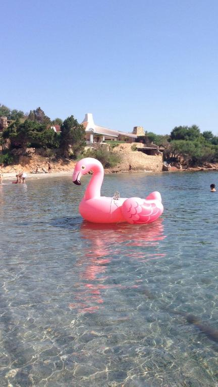 LAST MINUTE SARDINIA 3*** Residenza Chrysalis Bay ZBOR DIN OTOPENI CU TAXE INCLUSE