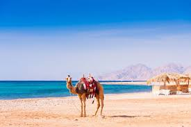 Super oferta catre Tunisia, sejur 7 nopti, cu plecare din Baia Mare! (G.T.)