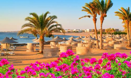  Ultimele 4 locuri!!!Sejur la plaja in Hurghada la doar 680 euro,avion din Bucuresti!!!PREMIER LE REVE HOTEL &amp; SPA 5*