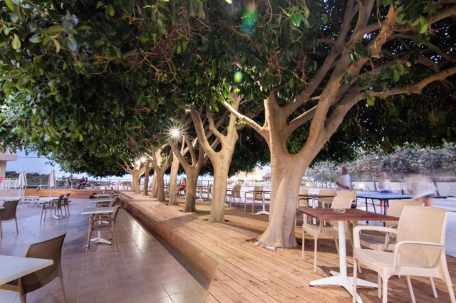 ULTIMELE LOCURI CRETA HERAKLION, AVION DIN TG-MURES, LA HOTEL CHRISSYS PARADISE 3*, LA TARIFUL DE 694 EURO/PERS, AI!