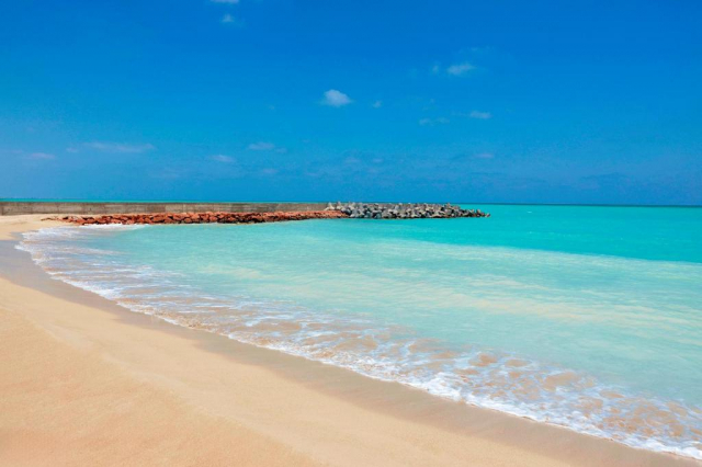 Sejur in El Alamein: 825 euro cazare 7 nopti cu All inclusive+ transport avion+ toate taxele 