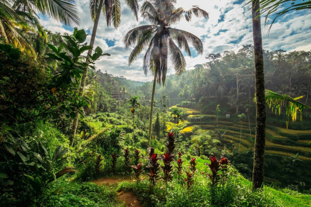 SUPER OFERTA!!  SEJUR BALI, UBUD + PLAJA CU ZBOR DIN BUCURESTI🌴
