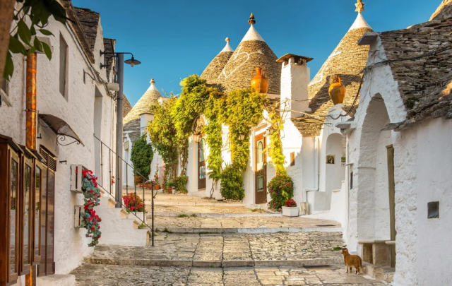 Senior Voyage Puglia, „tocul” Italiei si frumusetile sale 670 euro/pers plecare din Bucuresti 08.10 - Hotel Accord Le Rose 