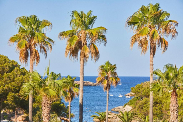 ULTRA LAST MINUTE PALMA DE MALLORCA 4**** ROCAMARINA ZBOR DIRECT DIN OTOPENI/ CLUJ NAPOCA/TIMISOARA CU TAXE INCLUSE