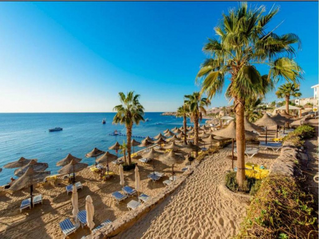 Sejur in Sharm El Sheikh: 650 euro cazare 7 nopti cu All inclusive+ transport avion+ toate taxele