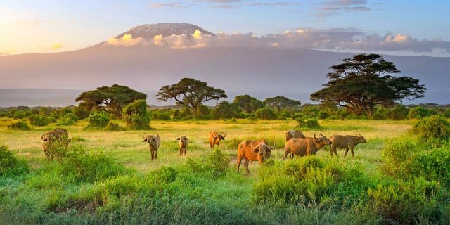 Oferta sejur Kenya, 7 nopti, cu plecare din Budapesta(T.L.)