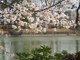 Oferta Sejur Japonia --- Tokyo + Okinawa + Kyoto, 12 nopti, cu plecare din Budapesta (T.L.)