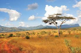 Super oferta catre KENYA -- SAFARI SI SEJUR DIANI, cu plecare din Cluj Napoca (OR)
