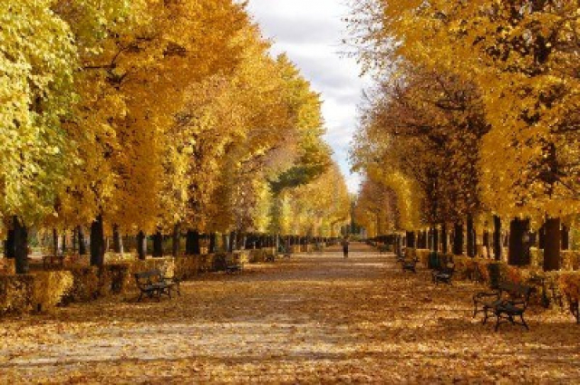 Citybreak la Viena de la doar 259 euro, hotel central, avion din Bucuresti!