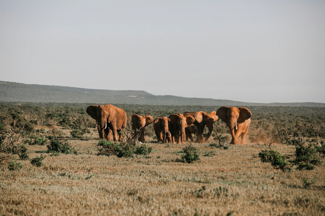 Super oferta Safari Kenya, sejur 10 nopti, cu plecare din Cluj Napoca! (OR)