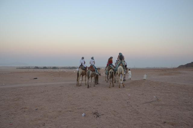 13.09 Zbor Bucuresti, Egipt Sharm, Tropitel Dahab 4* all inclusive 488 euro/pers/ 7 nopti/taxe aeroport incluse+transfer