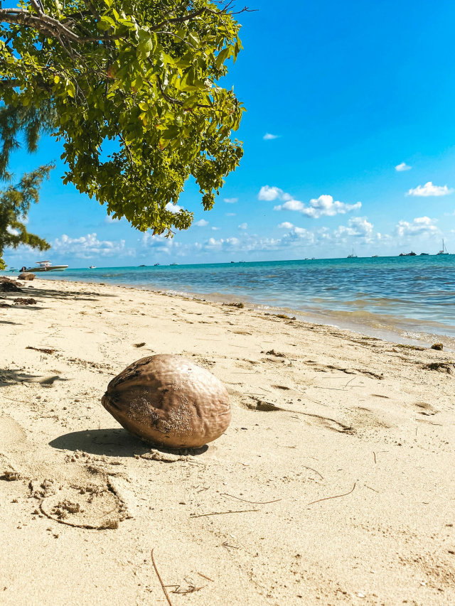 Super oferta Mauritius, sejur 7 nopti, cu plecare din Cluj Napoca (TBI)