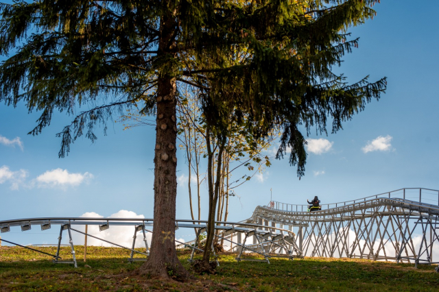 LAST MINUTE LOBOGA RESORT 3*, BAILE HOMOROD, 5 NOPTI CAZARE CU DEMIPENSIUNE SI SPA