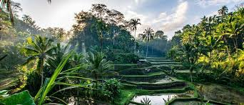LAST MINUTE  !! SEJUR BALI, UBUD + PLAJA CU ZBOR DIN BUCURESTI🌴	