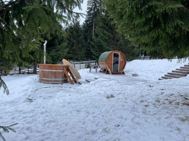 CRACIUN IN BUCOVINA, SENIOR VOYAGE, AUTOCAR DIN BUCURESTI SI ALTE ORASE, LA HOTEL DE 3*, LA TARIFUL DE 428 EURO/PERS, HB!