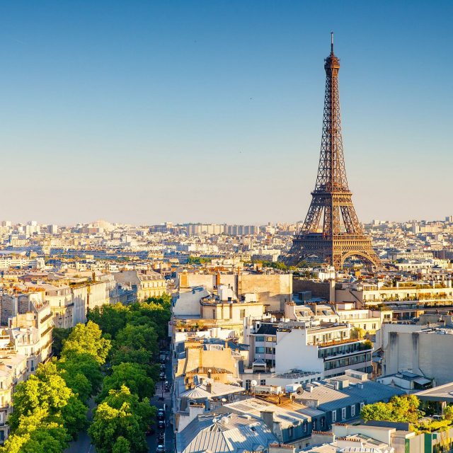 Revelion la PARIS