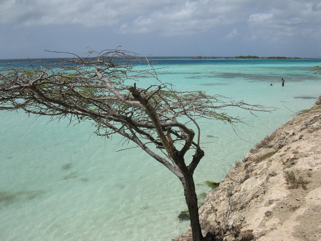 Oferta Combi Caraibe : Curacao si Aruba, sejur 10 nopti, cu plecare din Bucuresti (TBI)
