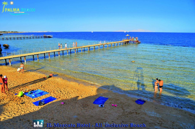 Last minute! 🌴 Revelion in Egipt!  Pășește în noul an sub palmieri, pe plajele aurii din Sharm El Sheikh! 🌴 (KCM)  