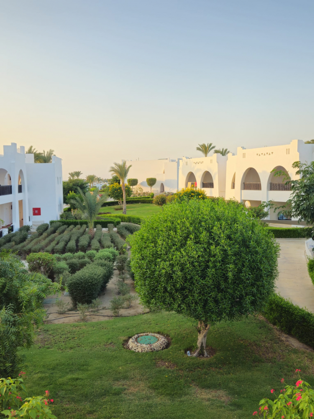 CRACIUN EGIPT HURGHADA, ZBOR DIN BUCURESTI, 7 NOPTI CAZARE CU ALL INCLUSIVE, TRANSFER