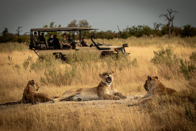 ZANZIBAR🌴SAFARI + PLAJA CU ZBOR DIN BUCURESTI - super oferta!!!