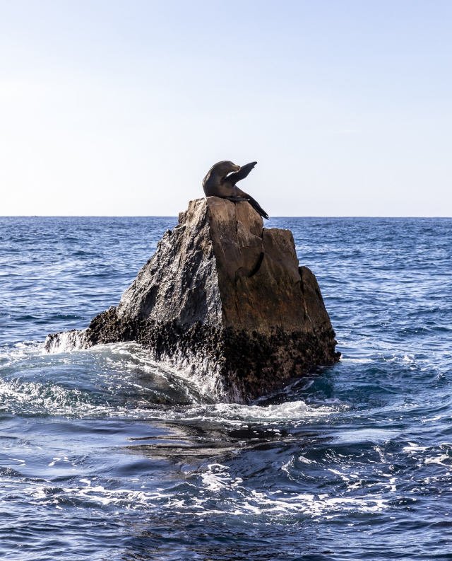 Oferta Mexic - Cabo San Lucas, sejur 7 nopti, cu plecare din Budapesta (TBI)