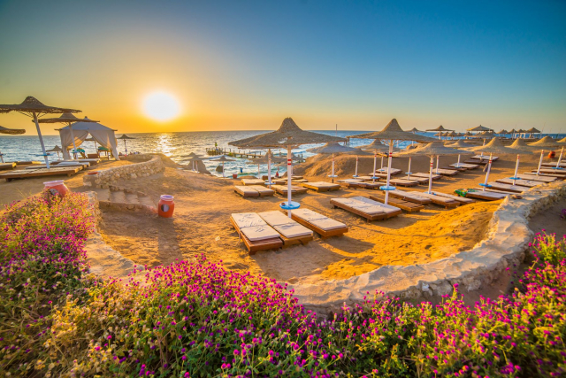 Sejur la plaja in Sharm El Sheikh la doar 329 euro,avion din Cluj!!! Palma Di Sharm Resort And Aqua Park 4*