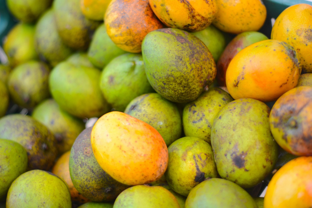 SUPER OFERTA EGIPT HURGHADA, ZBOR DIN BUCURESTI, 7 NOPTI CAZARE CU ALL INCLUSIVE, TRANSFER