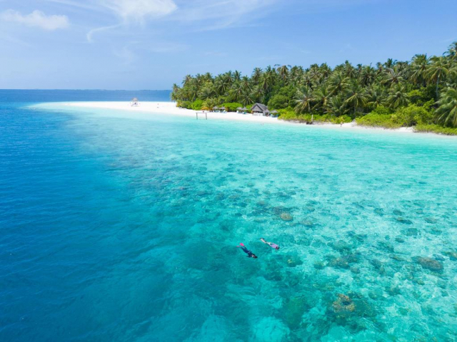 ULTIMELE LOCURI MALDIVE, AVION DIN BUCURESTI, LA HOTEL FIHALHOHI RESORT 4*, LA TARIFUL DE 1930 EURO/PERSOANA, PENSIUNE COMPLETA!