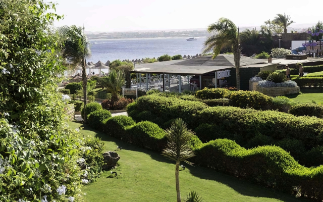 Last minute! Revelion in Egipt, Hurghada! Sejur 7 nopti cu plecare din Cluj ()KCM