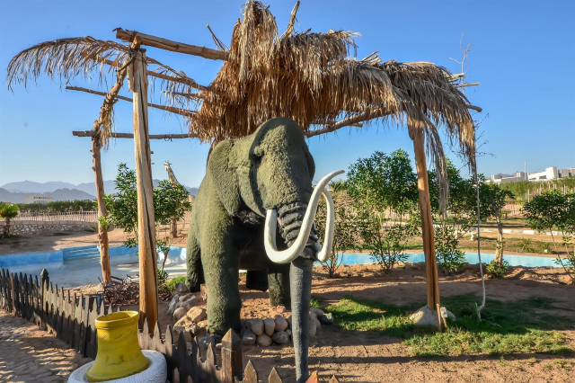 08.12 , Last minute Egipt , 250 € , cu all inclusive , 8 zile , , zbor direct din Bucuresti , taxe incluse