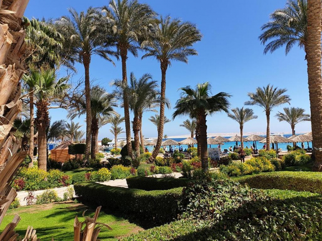 Craciun in Hurghada: 430 euro cazare 7 nopti cu All inclusive+ transport avion+ toate taxele 