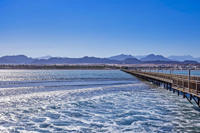 ✈️ Super oferta Last minute! ✈️ Egipt 🌴🌊  Sharm El Seikh 🌊 🌴 sejur 7 nopti, plecare din Cluj (KCM)