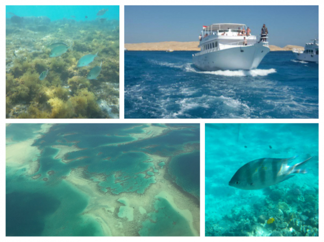 21.01 Zbor Bucuresti, Sharm, Old Vic Sharm Resort 4* all inclusive 345 euro/pers/ 7 nopti/taxe aeroport incluse+transfer